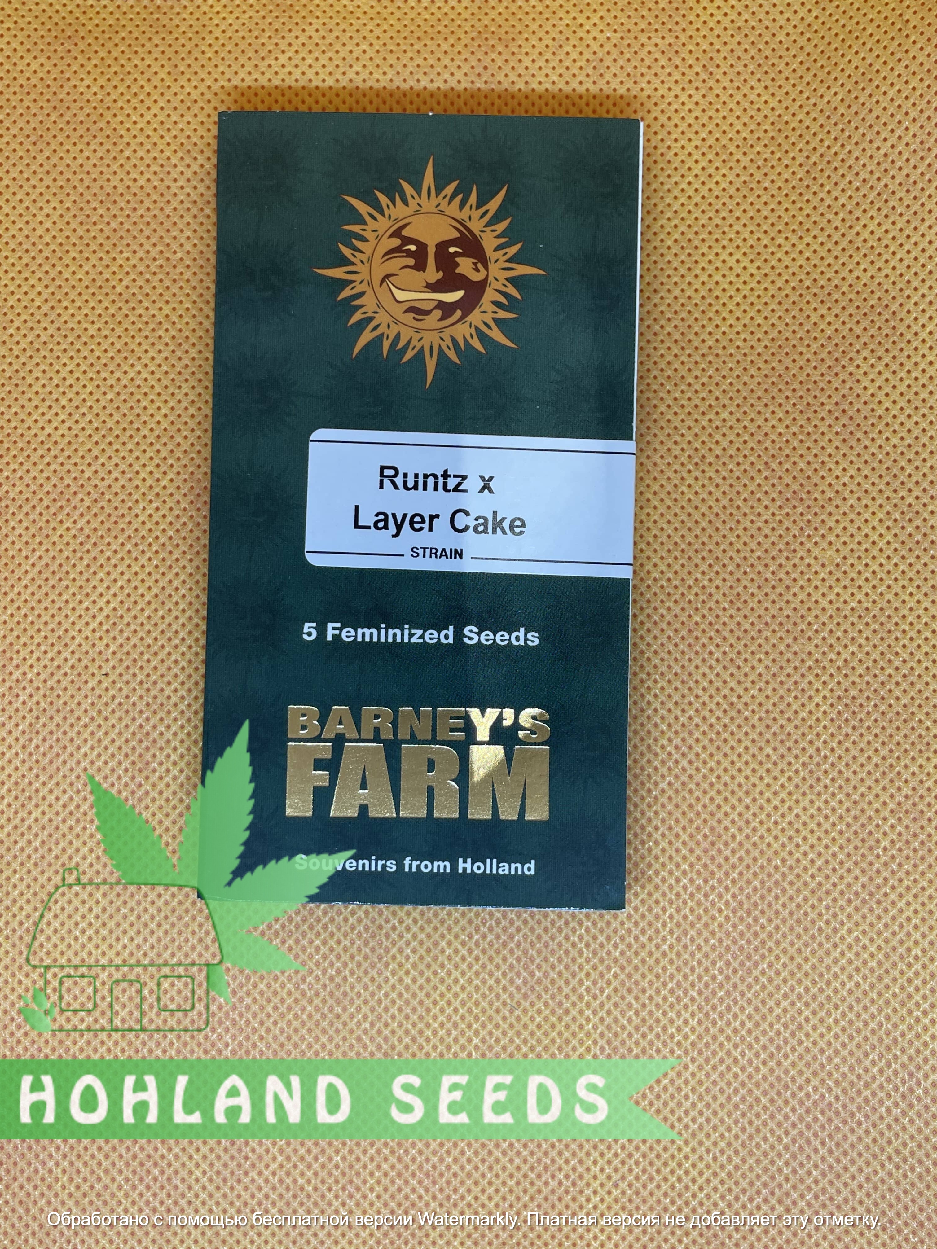 Runtz x Layer Cake Runtz x Layer Cake